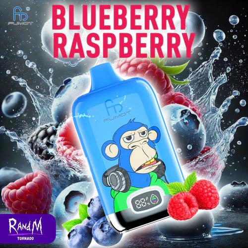 Raspberry RandM Vape Digital Box 12000 Puffs
